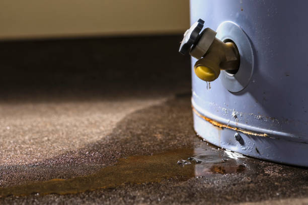 Best Fire Damage Restoration  in City View, SC