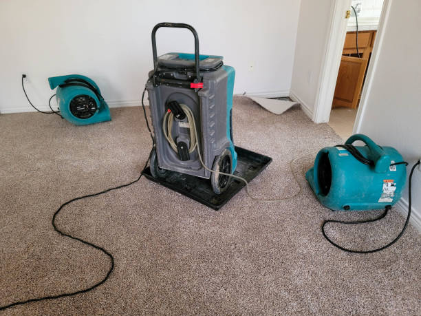 Best Water damage repair service  in City View, SC