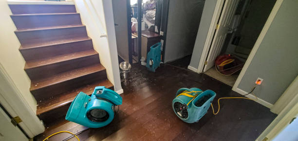 Best Water damage restoration near me  in City View, SC