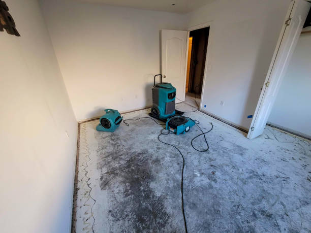 Best 24/7 water damage repair  in City View, SC