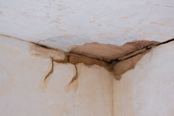 Best Carpet water damage restoration  in City View, SC