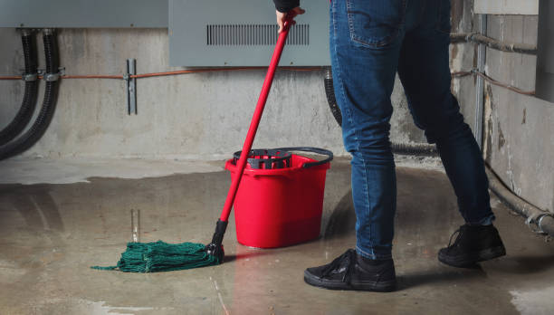 Best 24/7 water damage repair  in City View, SC