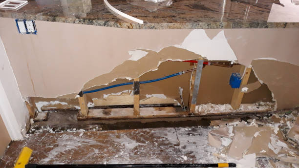 Best 24/7 water damage repair  in City View, SC