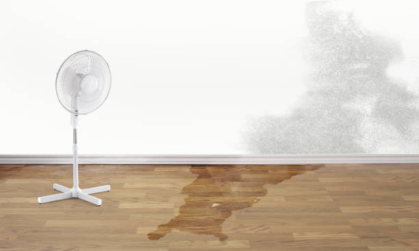 Fire Damage Restoration in SC