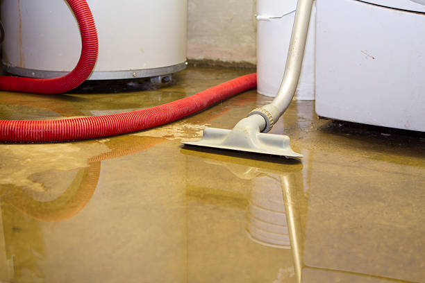 Best Local water damage restoration  in City View, SC