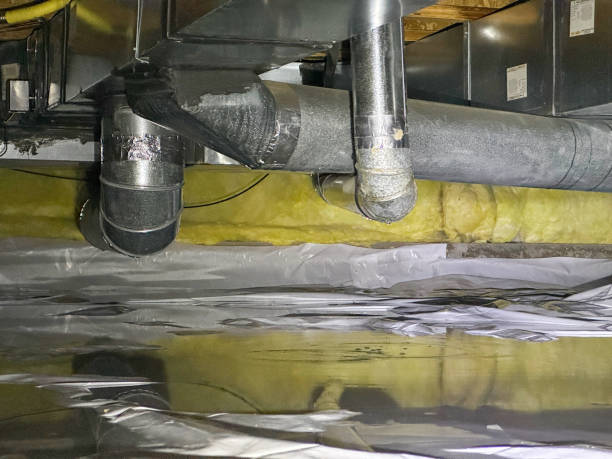 Best Water damage contractors near me  in City View, SC