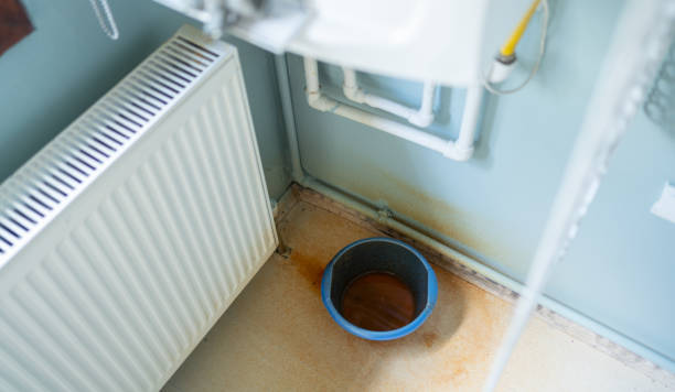 Best Water damage cleanup near me  in City View, SC