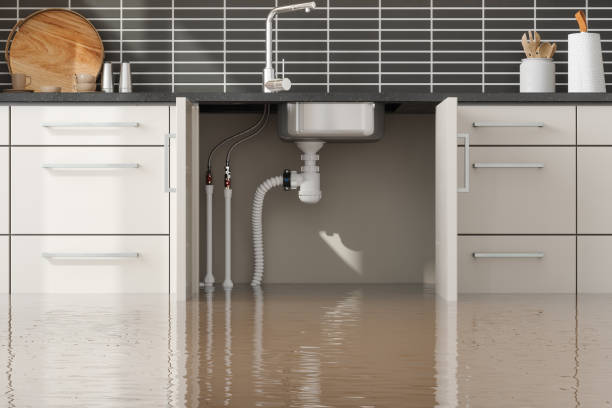 Best Water damage restoration near me  in City View, SC