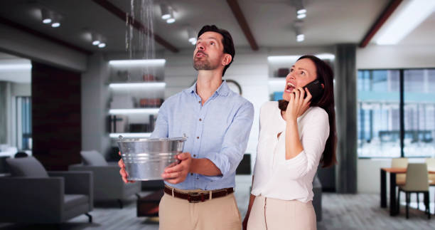 Best Flooded house restoration  in City View, SC