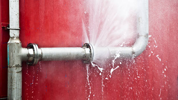  City View, SC Water damage restoration Pros